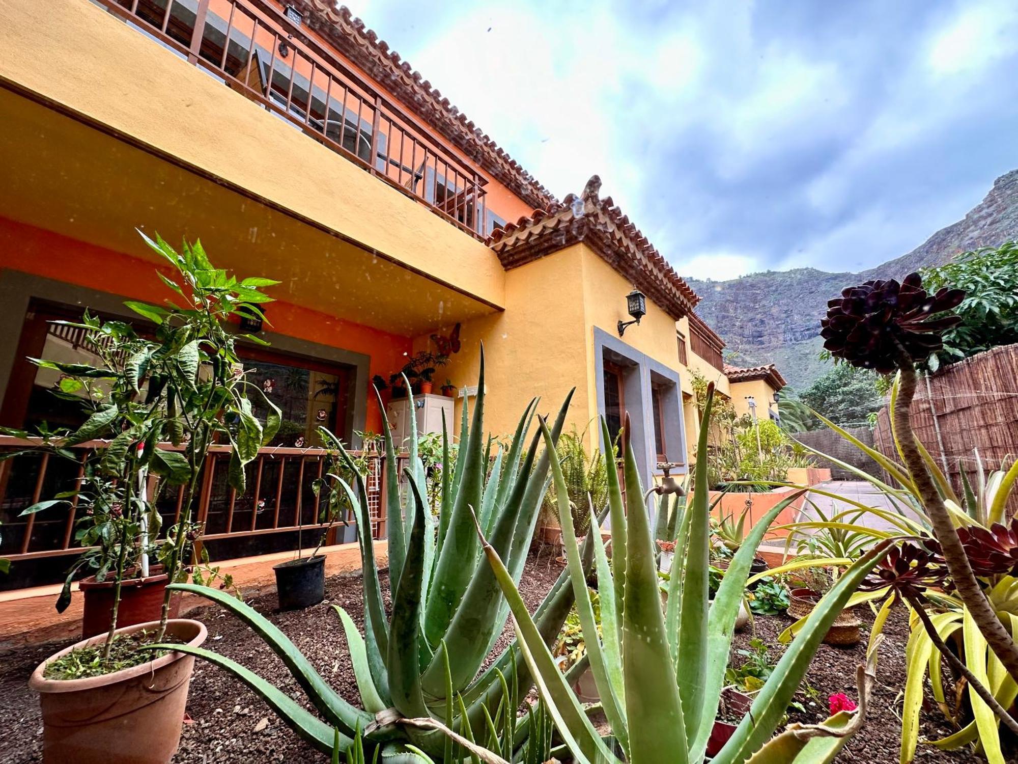 Calma Suite Agulo Екстериор снимка